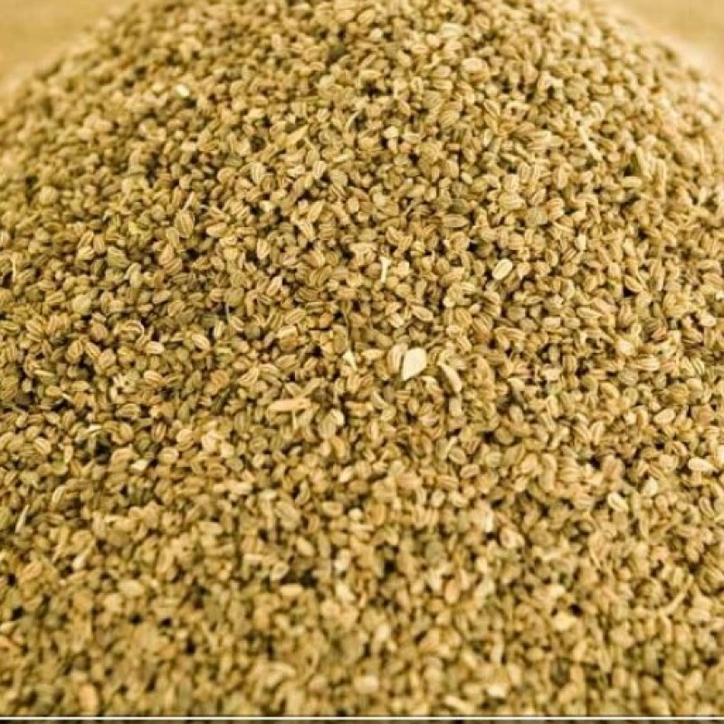 تخم کرفس (100 گرم)