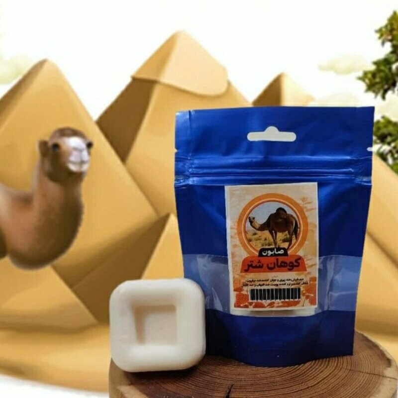 صابون کوهان شتر فانتزی طهور (50 گرم)