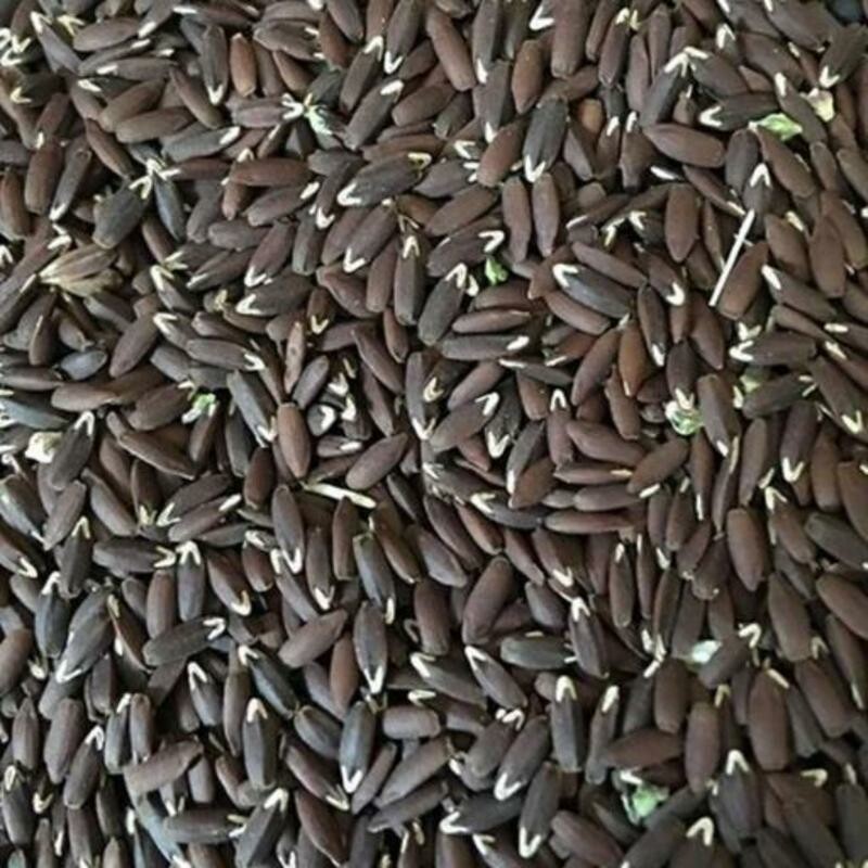 تخم کتان سیاه برزک (250 گرم)