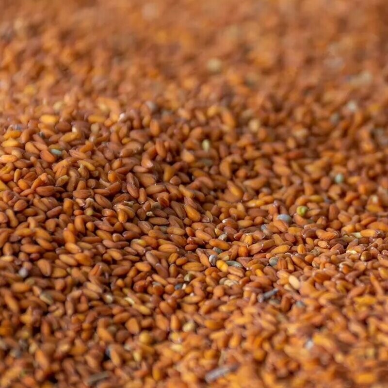 بذر شاهی (70 گرم)