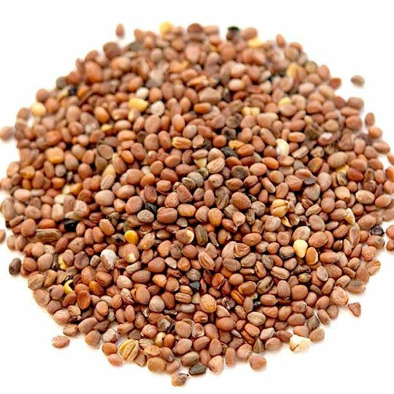 بذر تربچه ایرانی (70 گرم)