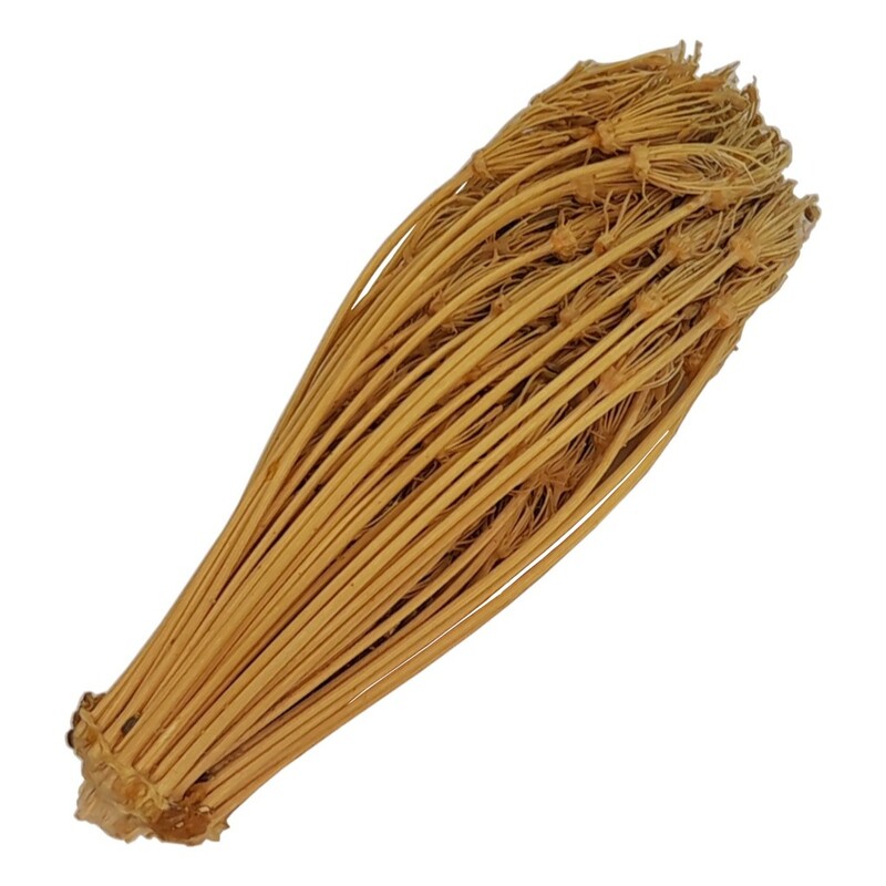 گیاه خلال دندان (7 گرم)