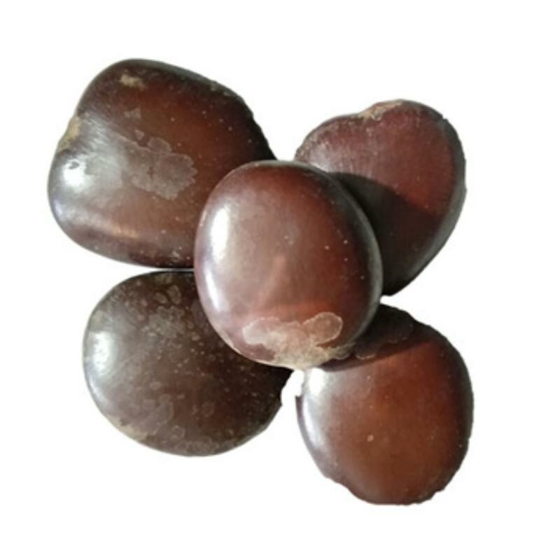 قرص کمر بلادر کبیر (100 گرم)