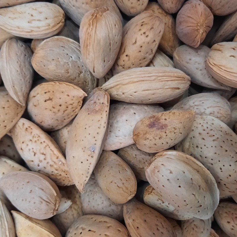 بادام سنگی (1 کیلوگرم)