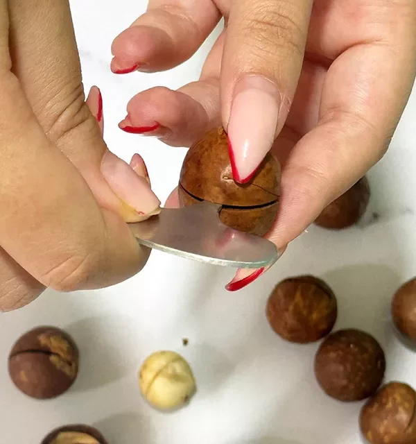 فندق ماکادمیا ۵۰۰ گرمی