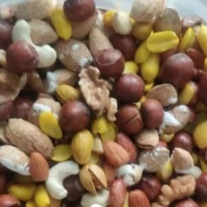 آجیل 8 مغز (500 گرم)