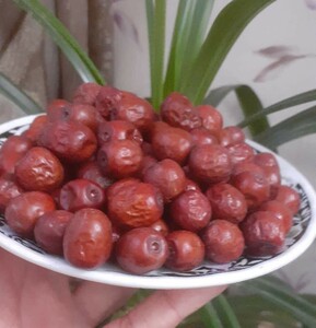 عناب آجیلی (500 گرم)