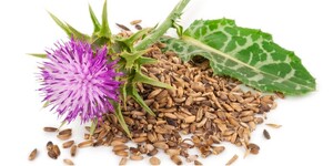 دانه خارمریم (1 کیلوگرم)