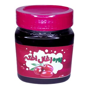 پوره زغال اخته غدیر (480 گرم)