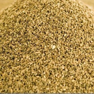 تخم کرفس (100 گرم)