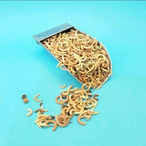 گیاه ناخنک (150 گرم)