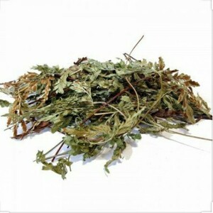 گیاه پرسیاوشان (30 گرم)