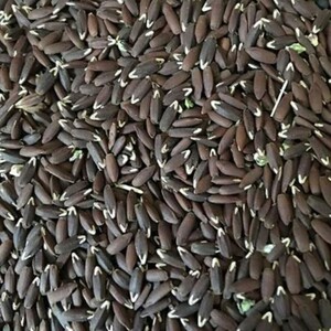 تخم کتان سیاه برزک (250 گرم)