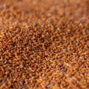 بذر شاهی (70 گرم)