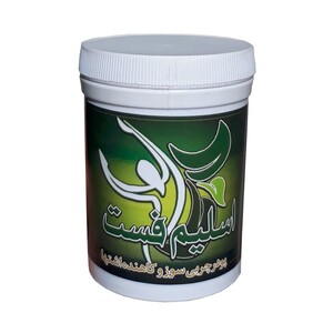 پودر اسلیم فست