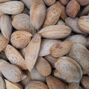 بادام سنگی (1 کیلوگرم)