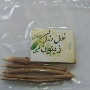 خلال دندان زیتونی