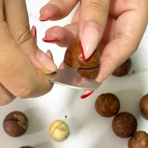فندق ماکادمیا ۵۰۰ گرمی