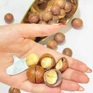 فندق ماکادمیا ۵۰۰ گرمی