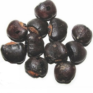 بلادور طهور (فرمول دکتر تبریزیان)