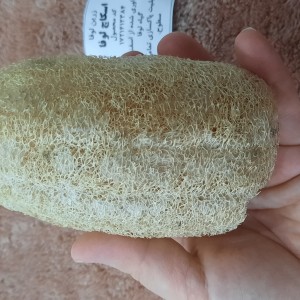 اسکاچ لوفا استوانه ای