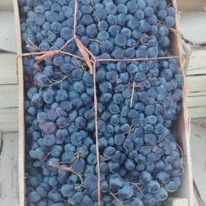 شیره انگور سیاه شاهانی یک کیلو