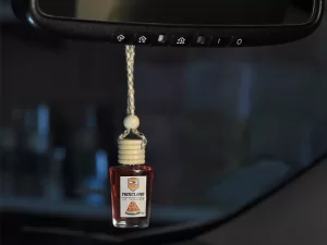 خوشبوکننده خودرو با رایحه هندوانه تام کلین Tom Klein TC-FI10NWP Watermelon Car Air Freshener