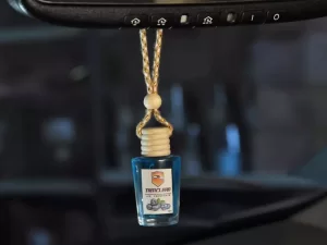 خوشبوکننده خودرو با رایحه بلوبری تام کلین Tom Klein car freshener with blueberry scent TC-FI10NBP