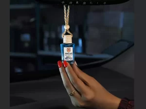 خوشبوکننده خودرو با رایحه بلوبری تام کلین Tom Klein car freshener with blueberry scent TC-FI10NBP