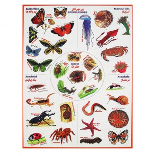 برچسب بی مهرگان