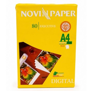 کاغذ 100 سایز A4 گرم بسته 250 عددی