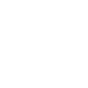 تحویل اکسپرس