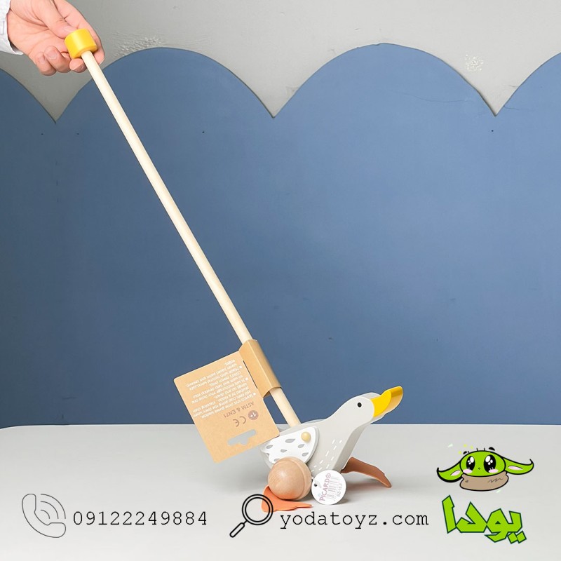 واکر راهبر عصایی طرح غاز پیکاردو