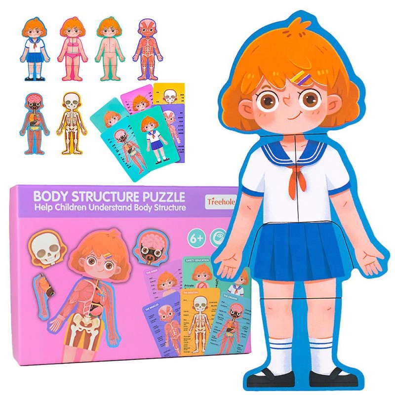 پازل مگنتی آموزش اعضای بدن دخترانه - magnetic body structure puzzle