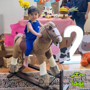 راکر اسب کودک شادلی مدل هیون قهوه ای