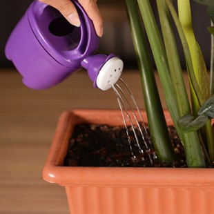 آب پاش باغبانی کودکان