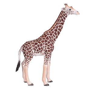 فیگور زرافه نر برند موجو -  Giraffe Male figure