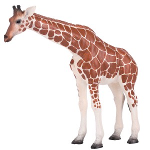 قیمت فیگور زرافه ماده برند موجو -  Giraffe female figure