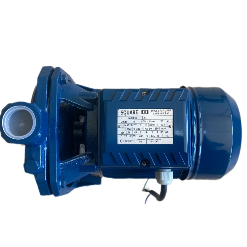 پمپ ۱ اسب بشقابی اسکواردی IM100-S