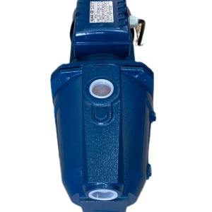 پمپ ۱ اسب جتی اسکواردی IAM100-S