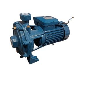 پمپ آب ۲ اسب ۲ پروانه ونیکو مدلIB210-S