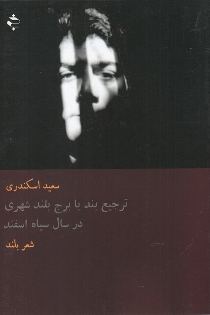 کتاب ترجیع بند یا برج بلند شهری در سال سیاه اسفند