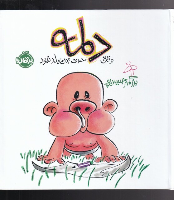 کتاب وقتی دلمه حرف زدن بلد نبود