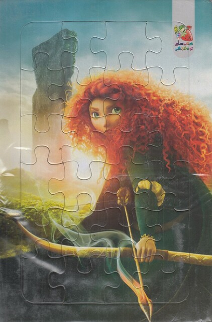 کتاب پازل پشت وایت بردی(شجاع)