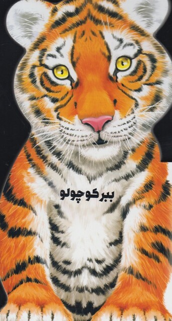 کتاب داستان زندگی خرگوش کوچولو