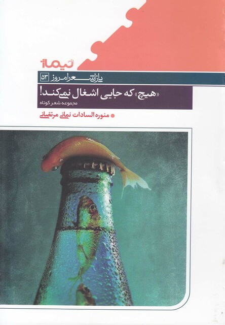 کتاب پازل شعر امروز 53 هیچ که جایی اشغال
