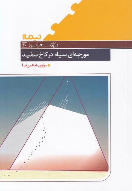 کتاب پازل شعر امروز 30 مورچه ای سیاه در کاخ سفید