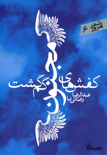 کتاب کفش های مجنون گم گشت