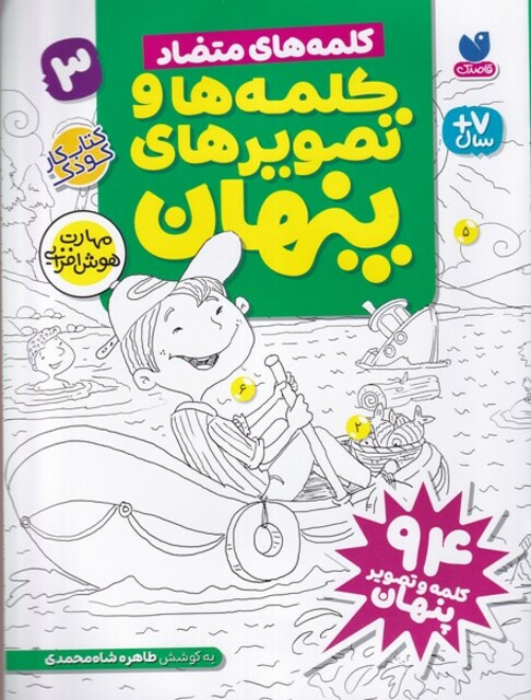 کتاب کلمه ها وتصویرهای پنهان(3)