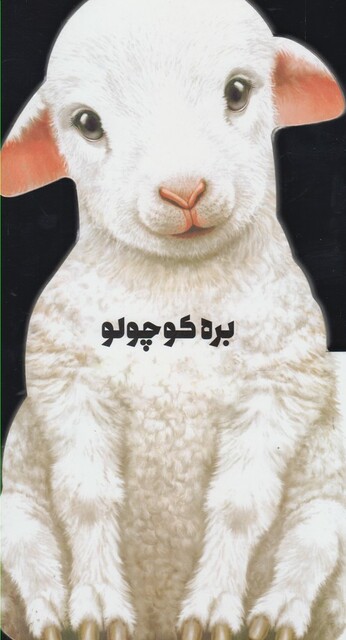 کتاب داستان زندگی بره کوچولو